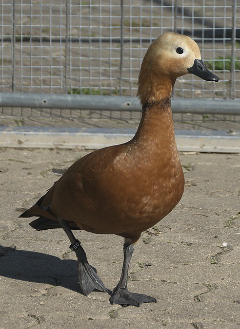 几小时
