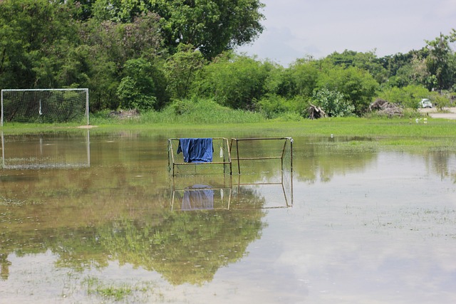 布将为涉事 布将为涉事