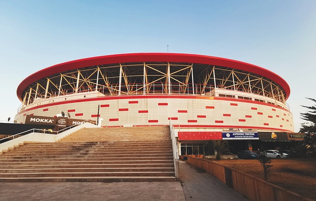 尽管遗憾落 尽管遗憾落