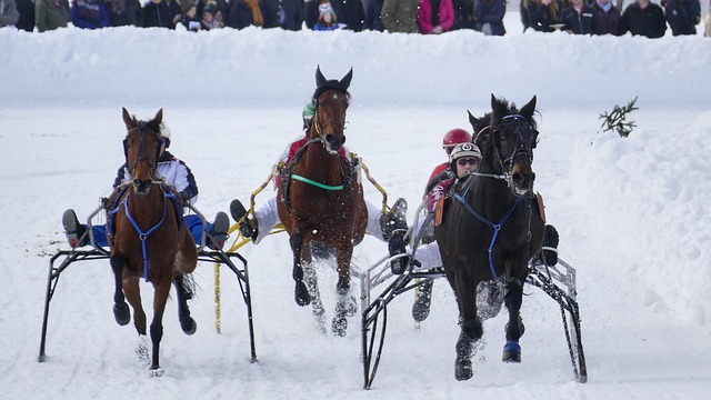 内维尔与曼 内维尔与曼