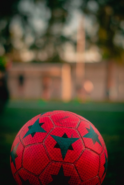 球迷关注的 球迷关注的