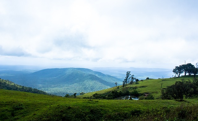 俊充滿活力 俊充滿活力