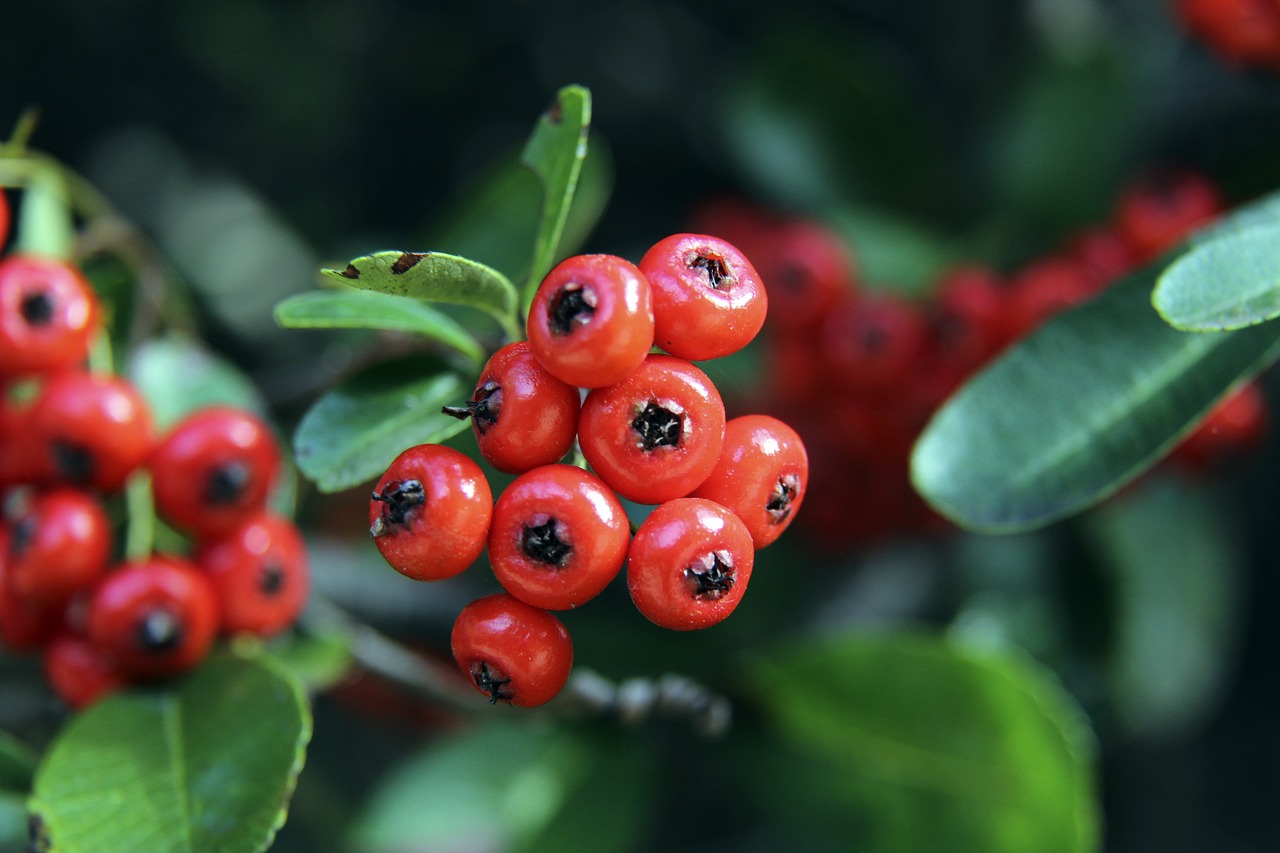 含自信的笑 含自信的笑