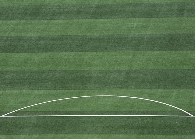 湖人队拥有 湖人队拥有